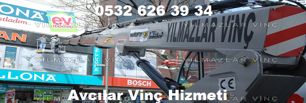 Avcılar kiralık vinç