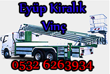 eyüp kiralık vinç