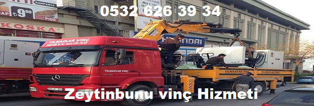 Zeytinburnu kiralık vinç